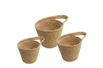 seagrss planters