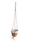 straw planter