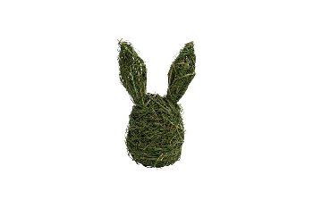grass egg-rabbit