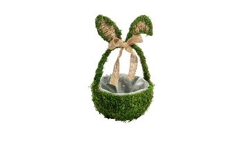 moss handle planter