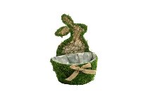 moss planter