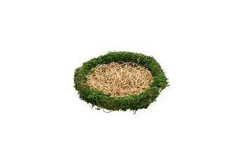 straw/moss nest