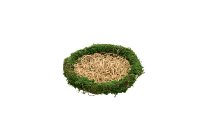 straw/moss nest