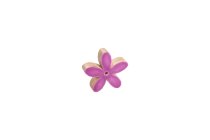 mangowood flower