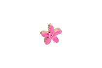 mangowood flower