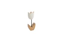 mangowood flower