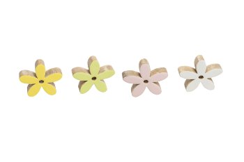 mangowood flower