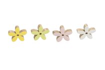 mangowood flower