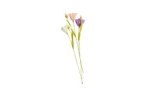paper flower