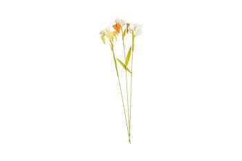 paper flower