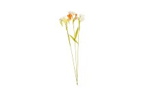 paper flower