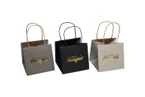 Papier-Pflanztasche