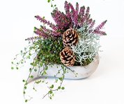concrete planter heart
