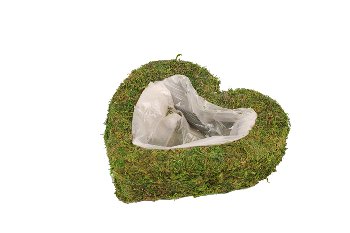 moss planter heart, tight