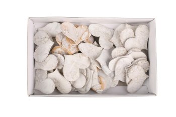 birch hearts, wide, 72pcs/box