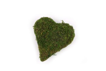 moss heart pointed 7,5x7,5 cm