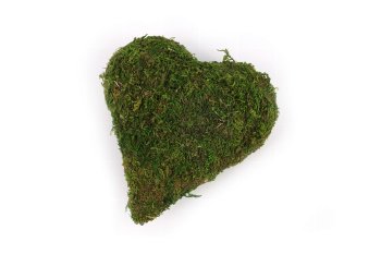 moss heart pointed 10,5x12 cm