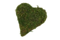 moss heart pointed 15x15 cm