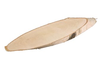 birch wood slices, oval