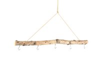 birch twig with 5 hooks