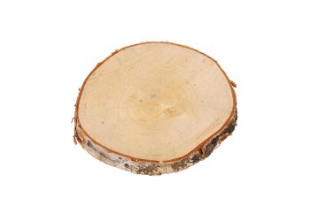 birch slice, round