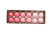 Eier