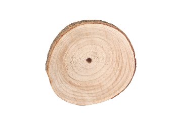 wooden slice, round