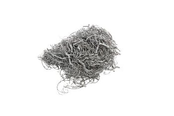 curly moss