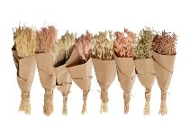 dryflower-bundles in p.-bouquet