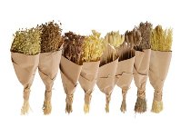 dryflower-bundles in p.-bouquet