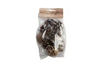 silvestris cones