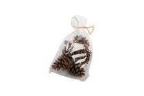 black pine cones