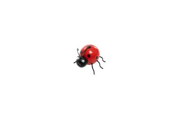 wooden ladybug
