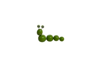 wood caterpillar
