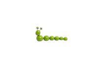 wood caterpillar