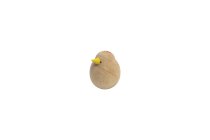 wooden bird