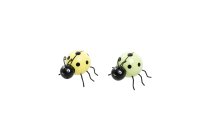 wooden ladybug