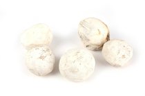 wooden balls