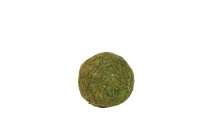 moss ball,8cm