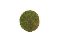 Moos-Kugel