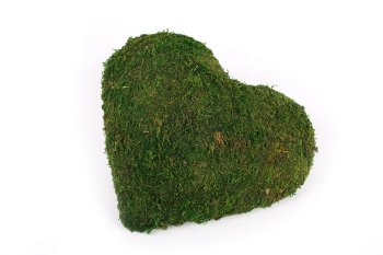 half moss heart,30cm