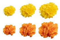 paper pom pom as DIY