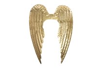 metal wings