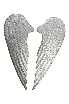 metal wings