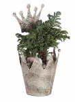 iron sheet crown