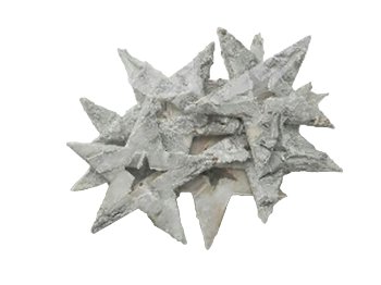 birchbark-stars
