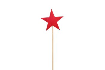 wooden star on stick