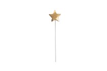 mango wood star on stick