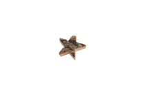 bark stars