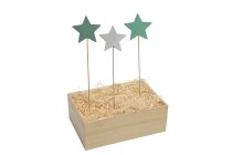 Holz-Sterne am Stab